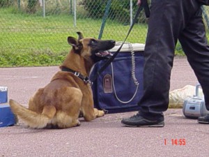 Photo FI 08-05 004